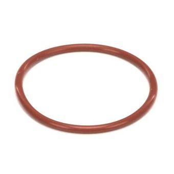 Champion 0513525