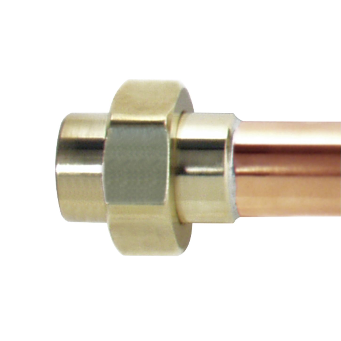 Watts 81000452, 81000454, 81000455, 81000456