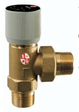 Bell & Gossett 113247