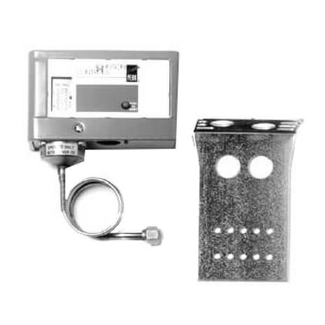 Johnson Controls P29NC-38C, P29NF-1C