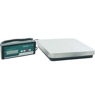 Taylor Thermometer TE150