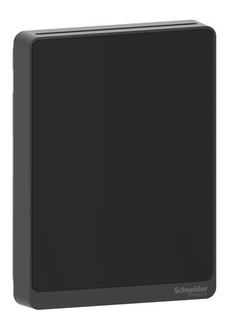 Schneider Electric SLABXC2, SLABXCV2, SLABXCVX, SLABXCX, SLABXX2, SLPBXC2, SLPBXCV2, SLPBXCVX, SLPBXCX, SLPBXX2, SLPBXXX