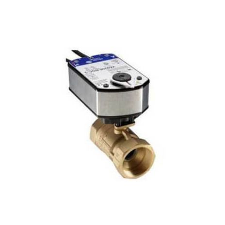 Johnson Controls VG1245ESH948GGA