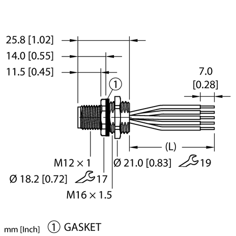 CS5390289 1