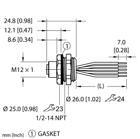 CS5390244
