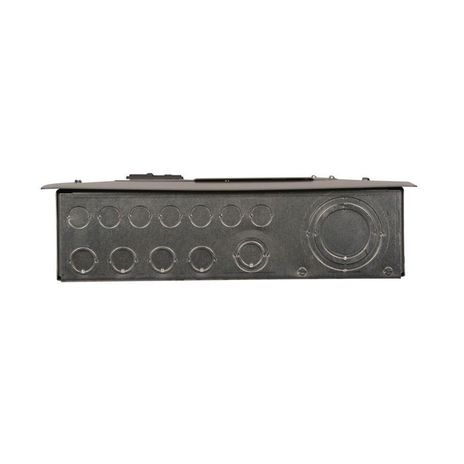 Eaton BR2024L125RIS