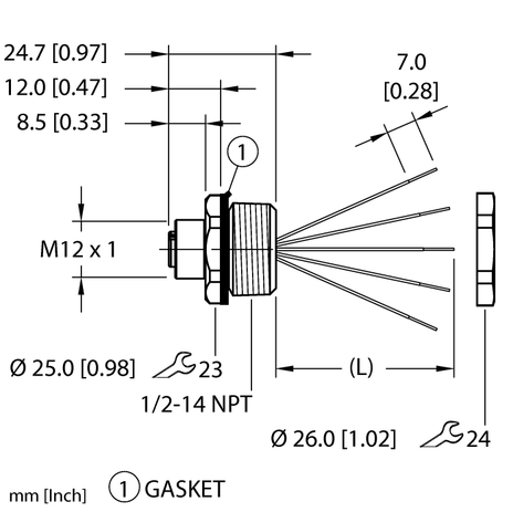 Turck EFKBH1-A5.500.2-1