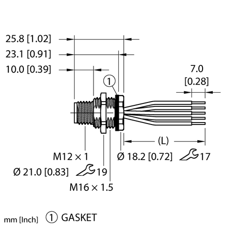 CS5390313 1