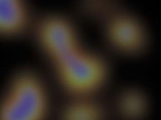 Omega LCS-104, LCS-104-KIT, LCS-104-WOAB, LCS-113, LCS-113-KIT, LCS-113-WOAB, LCS-77, LCS-77-KIT, LCS-77-WOAB, LCS-86, LCS-86-KIT, LCS-86-WOAB, LCS-95, LCS-95-KIT, LCS-95-WOAB