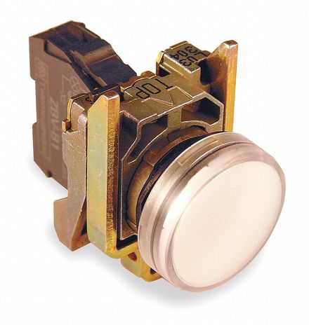 Square D XB4BVB1, XB4BVG1