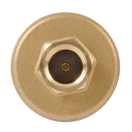 Bell & Gossett 113246