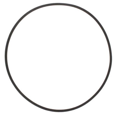 Bell & Gossett P5001083