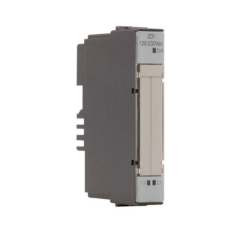 Eaton XN-2DI-120/230VAC, XN-2DI-24VDC-P