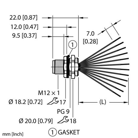 Turck EFSBG-12.1200.4-0.5, EFSBG-12.1200.4-1, EFSBG-12.1200.4-2