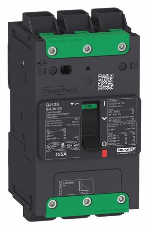 Schneider Electric, Square D BDL36030, BDL36040, BDL36060, BDL36090, BDL36100, BGL36030, BGL36050, BGL36090, BJL36070