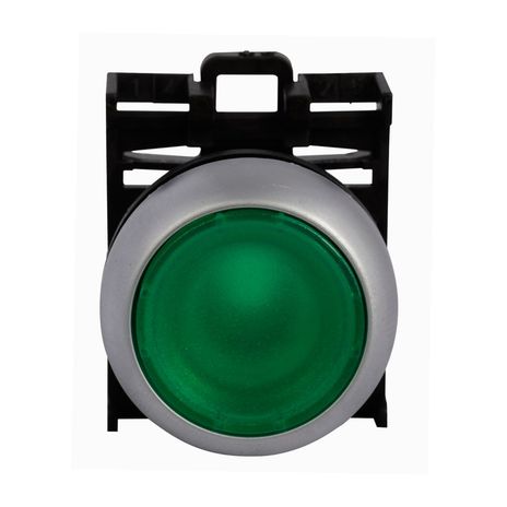 M22 DL G C