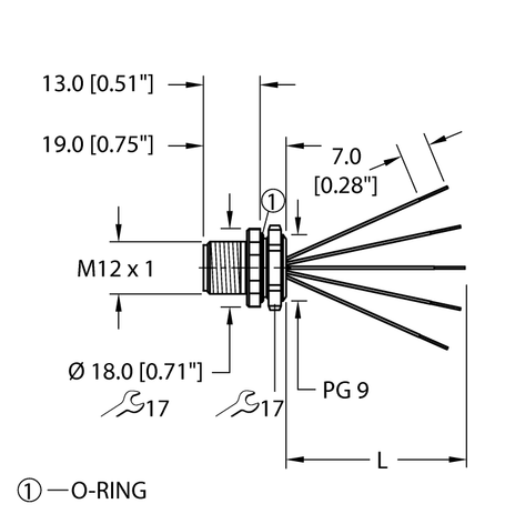 CS3804899 1