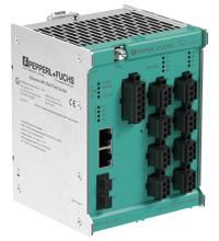 Pepperl+Fuchs PROCESS ARS11-B2-IC08-2, ARS12-B2-IC08-1, ARS12-B2-IC08-2