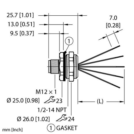 Turck EFSBH-A5.500.2-0.5, EFSBH-A5.500.2-1, EFSBH-A5.500.2-2, EFSBH-A5.500.2-5, EFSBH-A5.500.8-1, EFSBH-A5.500.8-2, EFSVH-A5.500.2-0.5, EFSVH-A5.500.2-1, EFSVH-A5.500.2-2