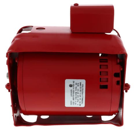 Armstrong Pumps 817025-007