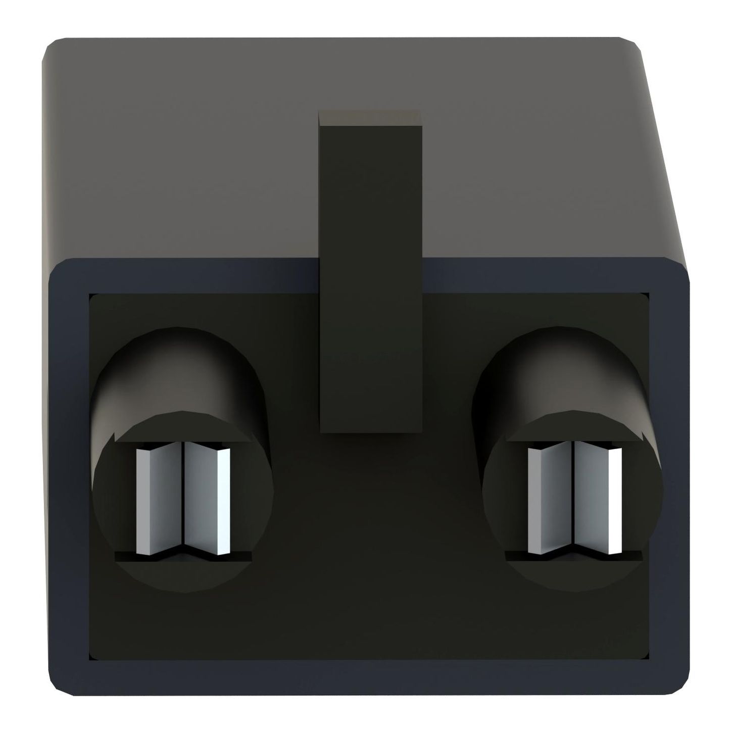 Schneider Electric RZM031RB