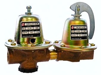 Bell & Gossett 110199LF