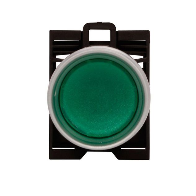 Eaton M22-DGL-B, M22-DGL-G, M22-DGL-R, M22-DGL-W, M22-DGL-Y