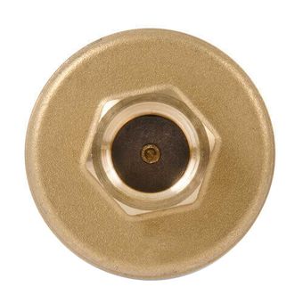 Bell & Gossett 113246