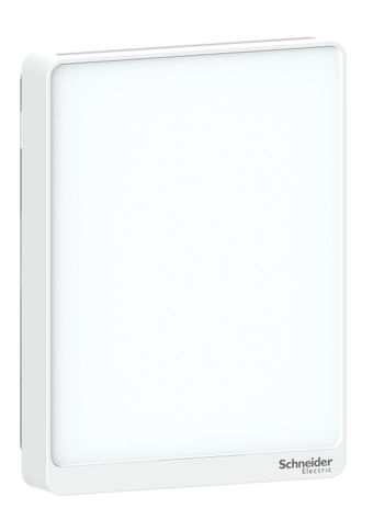 Schneider Electric SLAWXC2, SLAWXCV2, SLAWXCVX, SLAWXCX, SLAWXX2, SLPWXC2, SLPWXCV2, SLPWXCVX, SLPWXCX, SLPWXX2, SLPWXXX