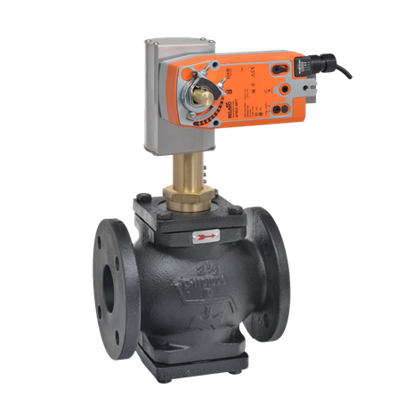 Belimo G665C-250+AFBUP-S-X1, G665C-250+AFX24-MFT95-X1, G665CS+AFBUP-S-X1